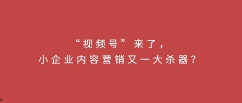 生活小视频爆料文案短句,那些爆笑瞬间背后的温馨故事 第1张 生活小视频爆料文案短句,那些爆笑瞬间背后的温馨故事 第1张