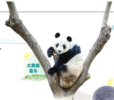 天津动物园爆料事件最新,揭秘动物福利与饲养真相 第2张 天津动物园爆料事件最新,揭秘动物福利与饲养真相 第2张