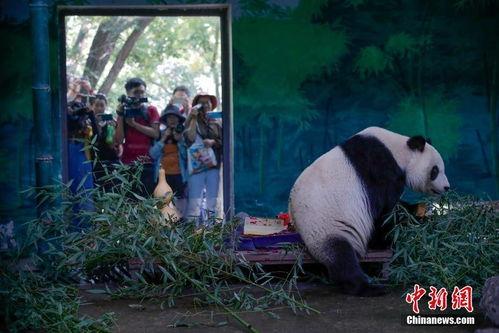 天津动物园爆料事件最新,揭秘动物福利与饲养真相 第3张 天津动物园爆料事件最新,揭秘动物福利与饲养真相 第3张