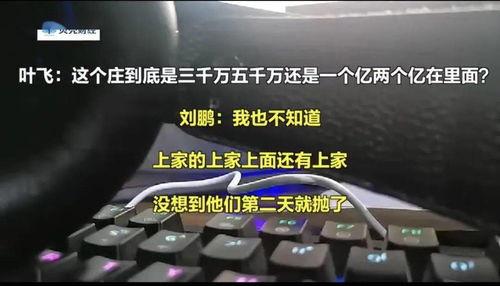 叶飞爆料说的什么话视频,揭秘内幕交易惊人内幕