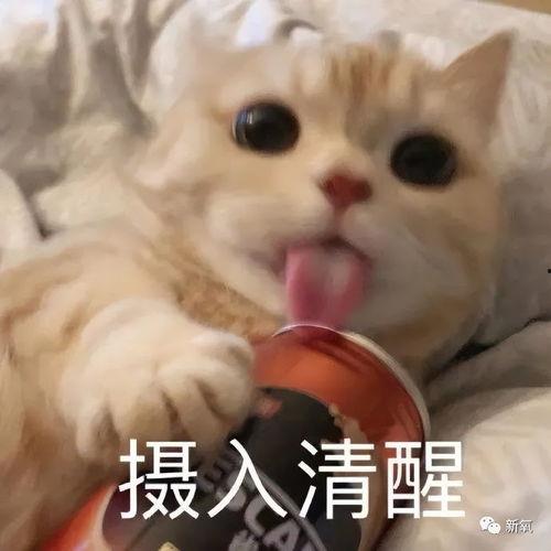 娱乐吃瓜酱不开心,揭秘背后原因 第2张 娱乐吃瓜酱不开心,揭秘背后原因 第2张