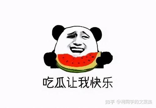 娱乐吃瓜酱不开心,揭秘背后原因 第3张 娱乐吃瓜酱不开心,揭秘背后原因 第3张