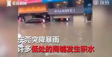 南京探店爆料事件视频,揭秘网红美食背后的真相 第3张 南京探店爆料事件视频,揭秘网红美食背后的真相 第3张