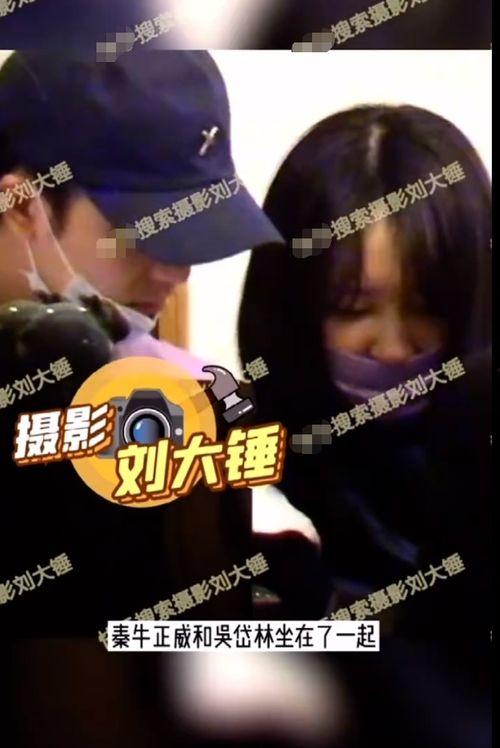 恋情爆料视频大全集免费观看,独家揭秘明星情感秘事