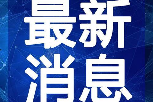 小奇最新爆料新闻视频下载,最新爆料新闻视频幕后真相