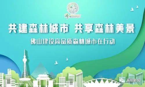 佛山市新闻爆料,聚焦城市动态，解码佛山发展新篇章