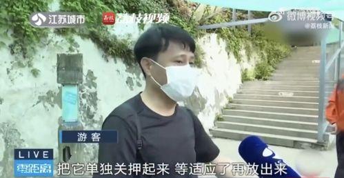 网红姐弟吃瓜 第3张 网红姐弟吃瓜 第3张