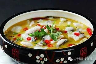 重庆外卖酸菜鱼爆料视频,揭秘网红美食背后的真相 第2张 重庆外卖酸菜鱼爆料视频,揭秘网红美食背后的真相 第2张