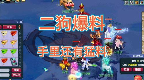 二狗爆料梦幻西游赌博视频,二狗揭露惊人视频真相  第2张