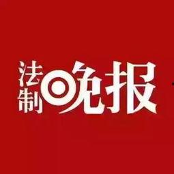 广东一线新闻爆料网官网,最新动态，权威解读  第2张