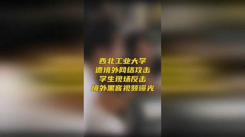 中国黑客爆料视频,中国黑客曝光惊人内幕  第2张