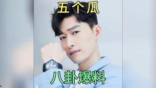 娱乐圈八卦吃瓜解说视频,吃瓜视频背后的明星秘闻大揭秘  第3张