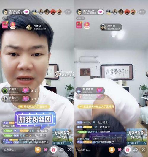 小宇家族爆料视频播放,揭秘家族幕后故事  第2张