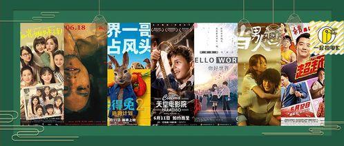 av片在线观看  第3张