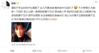 狗仔发文爆料视频大全下载,视频大全下载全解析  第2张