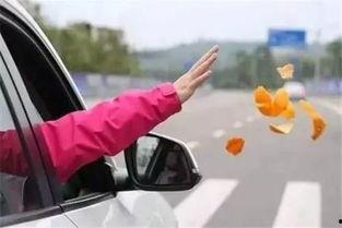 车窗抛物爆料视频下载软件,车窗抛物爆料神器下载指南  第3张