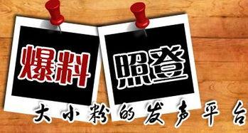 新闻爆料有些什么平台,新闻爆料背后的热门平台大盘点